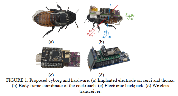 为了让蟑螂少“偷懒”，日本大阪大学团队用到了这些方法(图5)